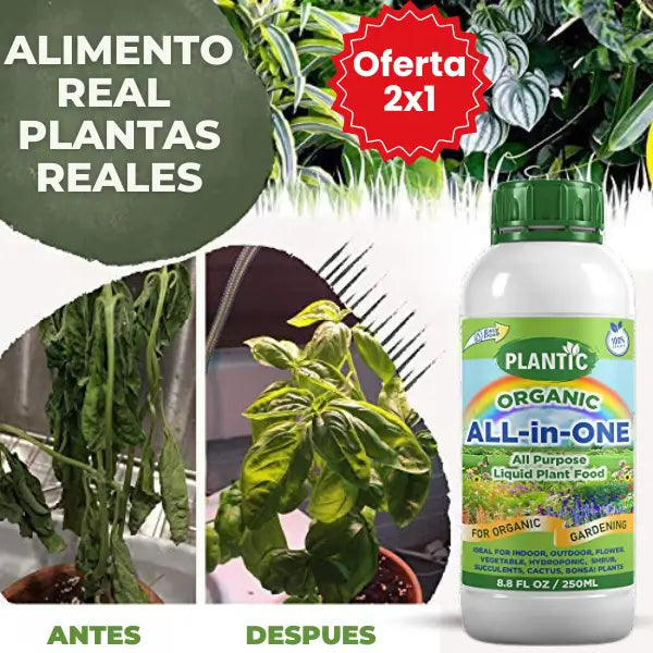 ¡No solo nutre tus plantas, también mejora tu suelo!