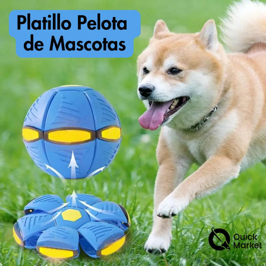 DiscBall™ - Bola Juguete 2 en 1 para perros